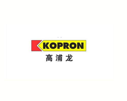 高浦龙KOPRON